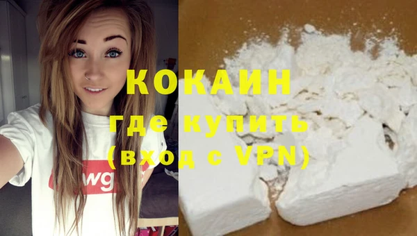 бошки Белокуриха