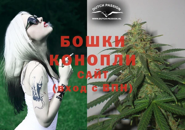 бошки Белокуриха