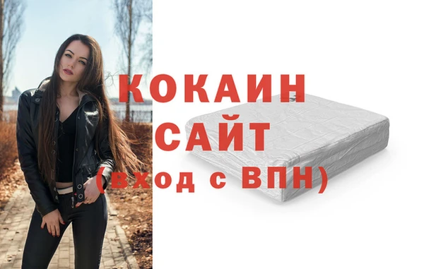 бошки Белокуриха