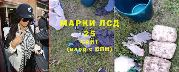 бошки Белокуриха