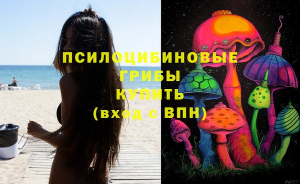 бошки Белокуриха