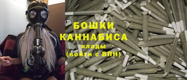 бошки Белокуриха