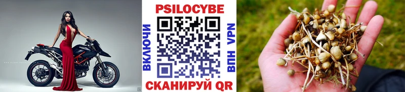 Псилоцибиновые грибы прущие грибы  гидра ONION  Реутов 